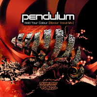 Pendulum - Hold Your Colour (Bi-Polar Remixes) - EP artwork