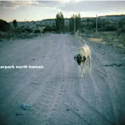 Human - Single - Carpark North Human - Single - Carpark North