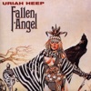 Fallen Angel (Bonus Track Edition), 2004