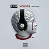 Voices (feat. Metro Boomin) - Single album lyrics, reviews, download