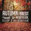 Autumn Forest Sounds for Meditation, Sleep & Relaxation album lyrics, reviews, download