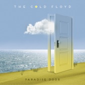 The Cold Floyd artwork