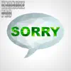 Sorry (Originally Performed by Justin Bieber) [Instrumental Version] song lyrics