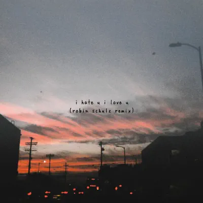i hate u, i love u (feat. Olivia O'Brien) [Robin Schulz Remix] - Single - Gnash
