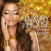 Luxury House Winter Session (Deep & Cool Beats Finest Selection) - Various Artists