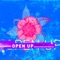 Open Up (SoulParlor Remix) - Susanne Alt lyrics