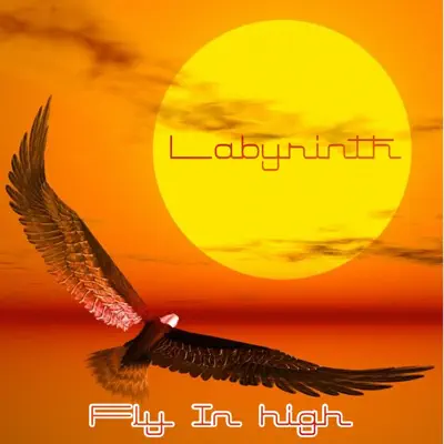 Fly in High - Single - Labyrinth