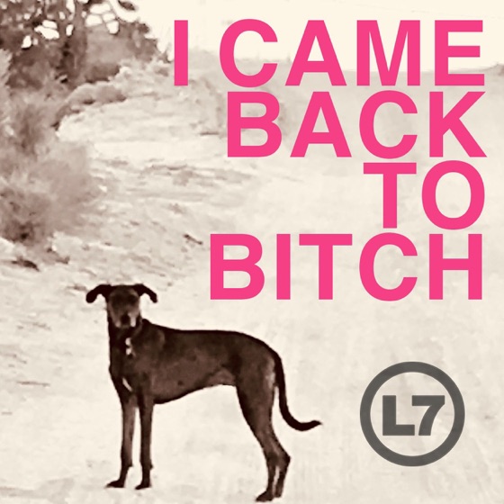 Cover artwork for I Came Back to Bitch