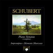 Schubert: Piano Sonatas (Complete) artwork