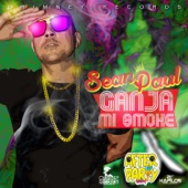 Ganja Mi Smoke artwork