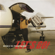 Let's Go - Nathan & The Zydeco Cha-Chas