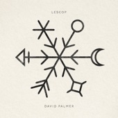 Lescop - David Palmer