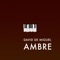 Ambre - David de Miguel lyrics