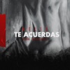 Te Acuerdas - Single