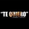 Te quiero (feat. Liana Malva) - Single
