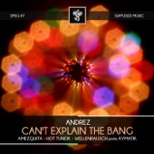 Can't Explain the Bang (Wellernausch Pres. Kymatik Remix) artwork