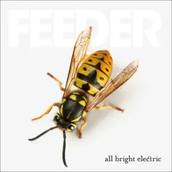 All Bright Electric - Feeder