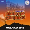 Mosaico 2014. Música de Guatemala para los Latinos
