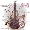 Orfeo'guitar