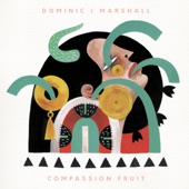 Dominic J. Marshall - Prison