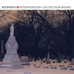 Intervention: Collection + Remix - Waxwing