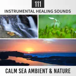 111 Instrumental Healing Sounds: Calm Sea Ambient & Nature, Pure Relaxation Moods, Spa Music, Zen Therapy, Yoga Balance, Sleep Meditation Training by Various Artists album reviews, ratings, credits