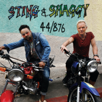 Sting & Shaggy - Just One Lifetime artwork