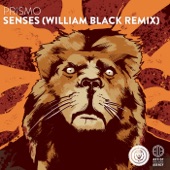 Senses (William Black Remix) artwork