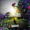 Sonhos (Remix) artwork