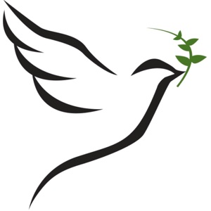 TBS - II Samuel 2-5