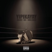 Yipikayay (feat. AKA & Khuli Chana) artwork