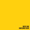 Sunflower Seeds - Single