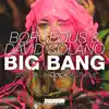 Big Bang (2015 Life In Color Anthem) - Single album lyrics, reviews, download
