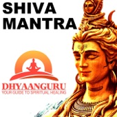 Shiva Mantra: Dhyaanguru (Your Guide to Spiritual Healing) artwork