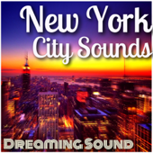 Times Square Ambience, Midtown Manhattan - Dreaming Sound
