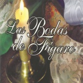 Las Bodas de Fígaro artwork