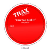 Larry Heard - Can You Feel It