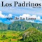 Vuelven los Padrinos - Los Padrinos lyrics