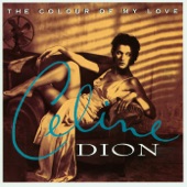 The Colour of My Love artwork