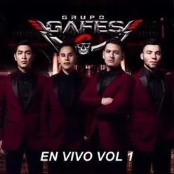 En Vivo, Vol. 1 - Grupo Gafes