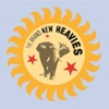 The Brand New Heavies - Dream Come True (feat. N'Dea Davenport)