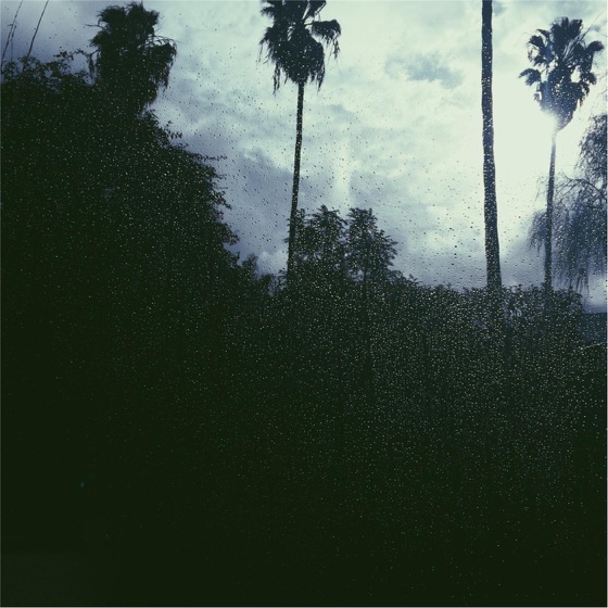 Cover artwork for Gen.Y
