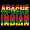 Apache Indian - EP album lyrics, reviews, download