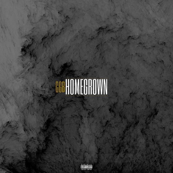Cover artwork for Intro
