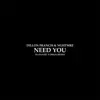 Need You (DJ Hanzel & Drezo Remix) - Single album lyrics, reviews, download