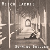 Burning Bridges artwork