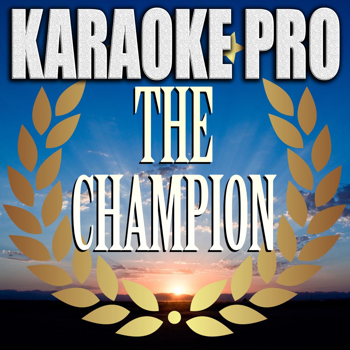 The Champion (Originally by Carrie Underwood Ludacris) [Karaoke - Single Karaoke Pro on Apple Music