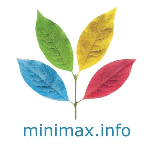 minimax.info cover