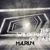 The Wilderness of Pain - Single album lyrics, reviews, download