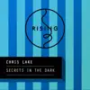 Stream & download Secrets In the Dark - Single